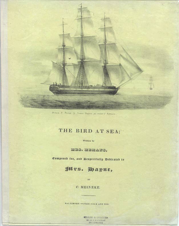 The Bird at Sea (Maritime)